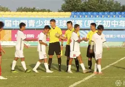 九游体育-皖江黑豹队对阵关中鲸鲨队，柔道巡回赛读秒绝平，门将神扑救主——球迷期待下一战